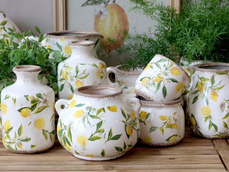 LEMONA Mugge