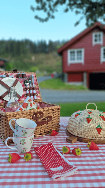 Hovedbilde PIKNIKKURV Darcel