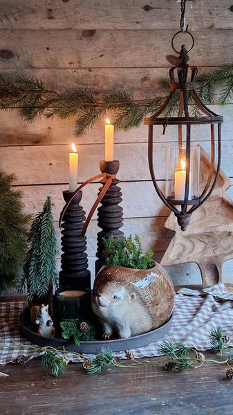 Hovedbilde KRUKKE Pinnsvin