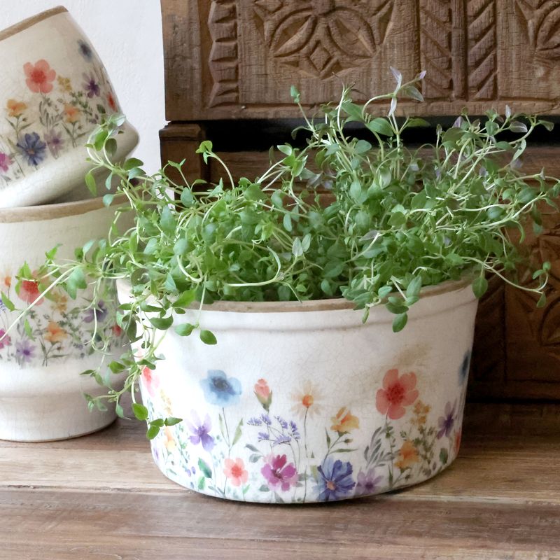 POTTER Fleurville Serie 