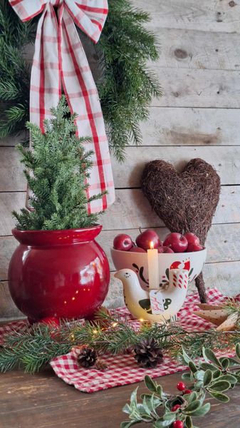 Hovedbilde SKÅL Donya