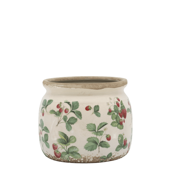 Hovedbilde JORDBÆR Serie 