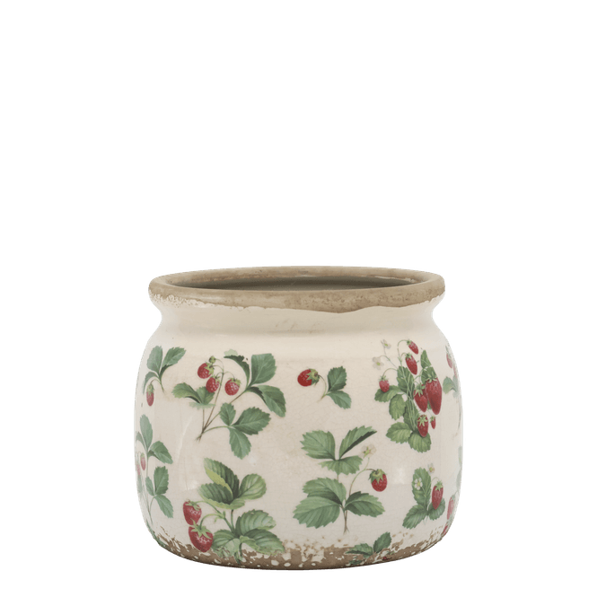 Hovedbilde POTTER Jordbær Serie 