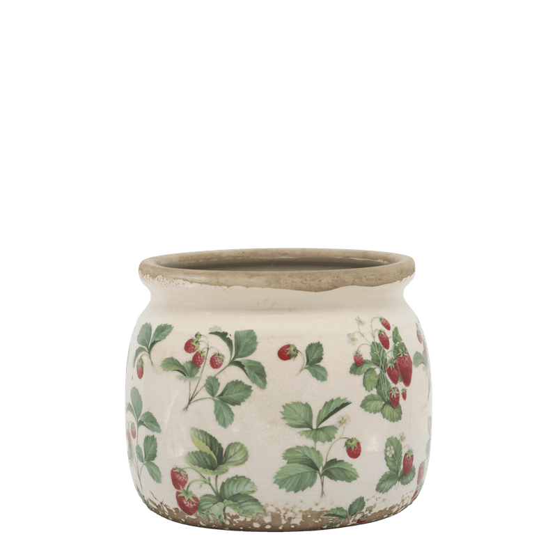 POTTER Jordbær Serie 