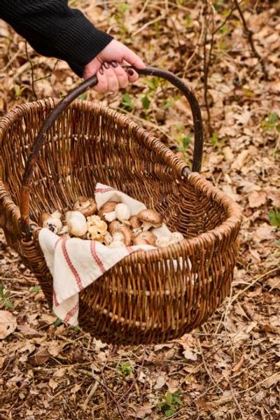 Hovedbilde KURV Oval Med Ubarket Pilhank