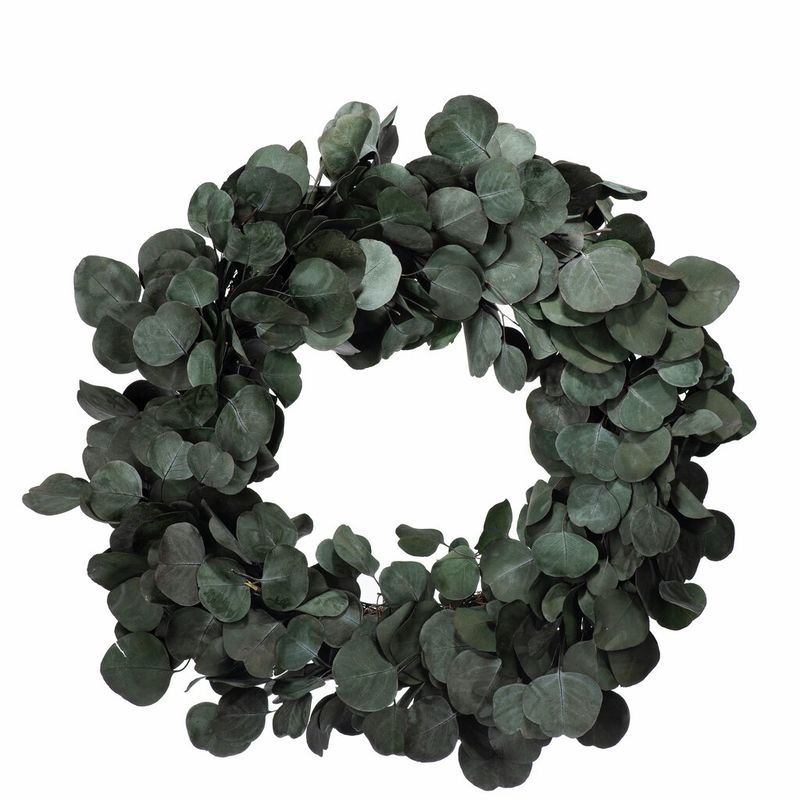 KRANS Eucalyptus 