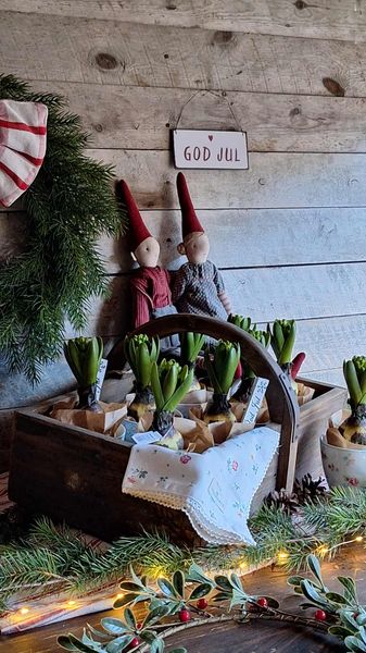 Hovedbilde TREKURV med Trehank 