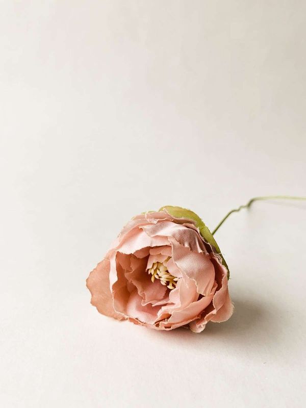 PEON Rosa 