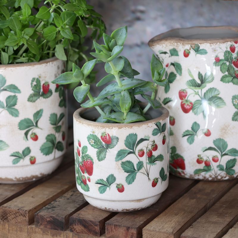 POTTER Jordbær Serie 