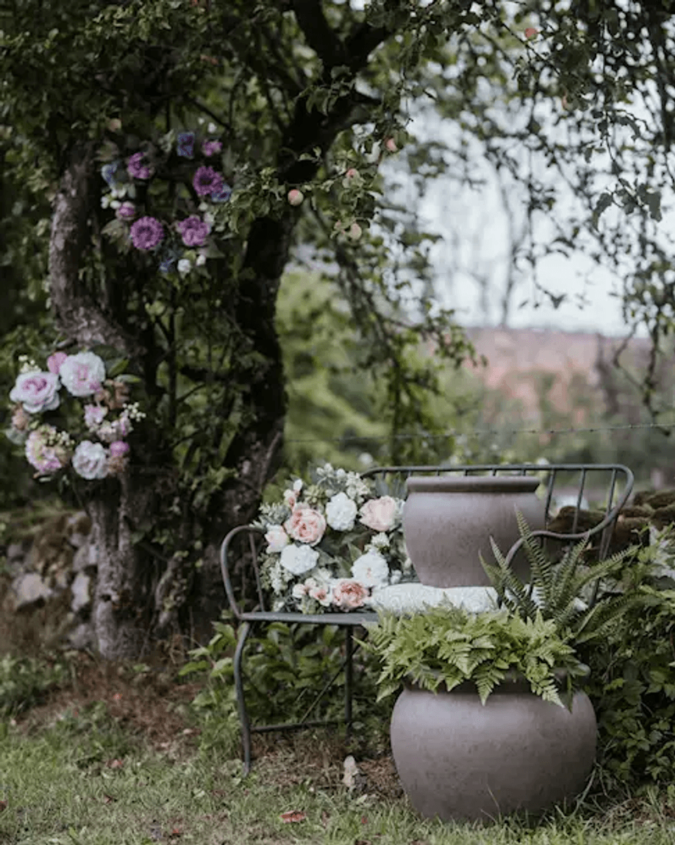 KRANS Pion & Sukkulenter 