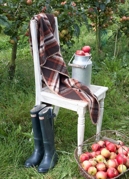 Hovedbilde SKJERF Leoni Mocca 129 